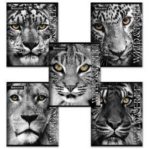 тетрадь 48 л. BRAUBERG ЭКО кл.,обл.мел.к,вн.блок офсет,Дикие и своб.,(10)[СА4580]