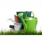 Сад и огород