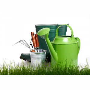 Сад и огород