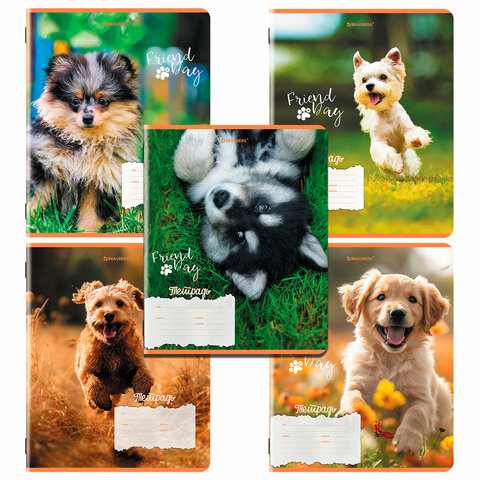 тетрадь 18 л. BRAUBERG клетка, обложка картон, СОБАЧКИ (20)