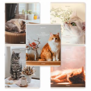 тетрадь 48 л.BRAUBERG, скоба, клетка, матовая ламинация, "Cats", (микс в спайке)