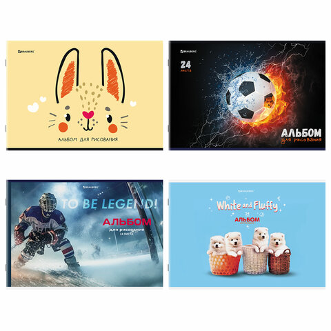 альбом д рис. 24 л.,А4 скоба, обложка картон, BRAUBERG, 203х288 мм, "МИКС-1"